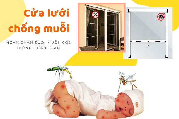 Cách Đuổi Côn Trùng Bay Vào Nhà Hiệu Quả, An Toàn